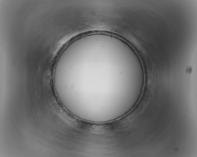 X0000112741264200909101507