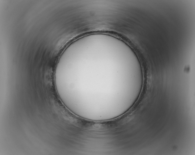 X0000112741265200909101507