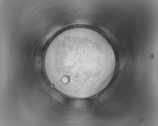 X0000112741266200909101507