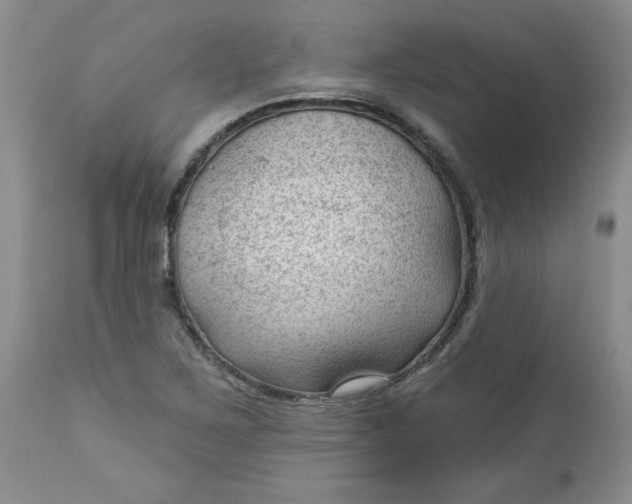 X0000112741267200909101507