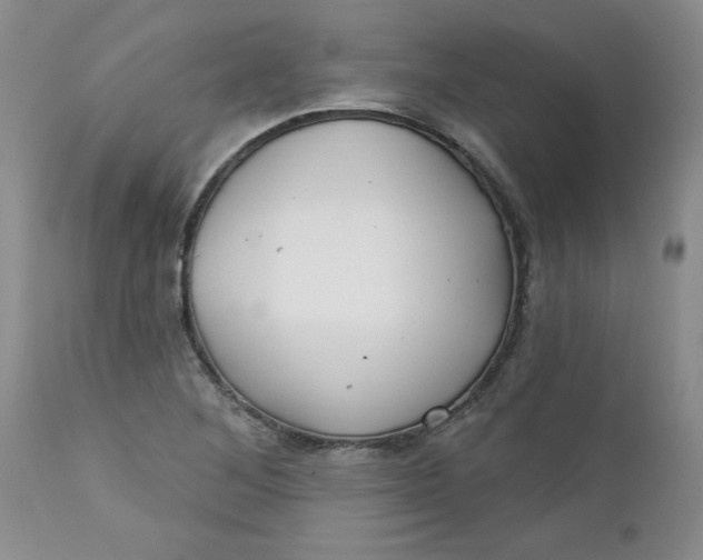 X0000112741268200909101507