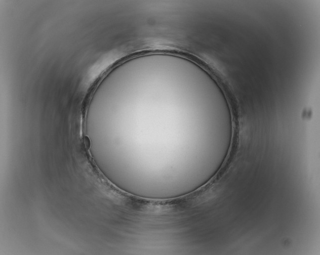 X0000112741269200909101507