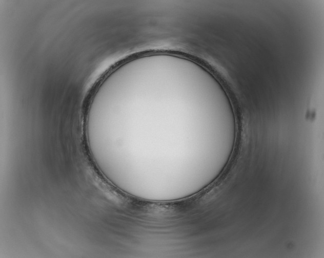 X0000112741270200909101507