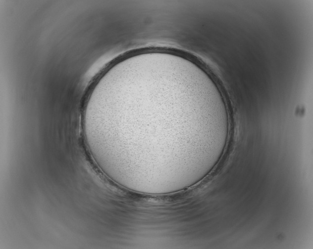 X0000112741271200909101507