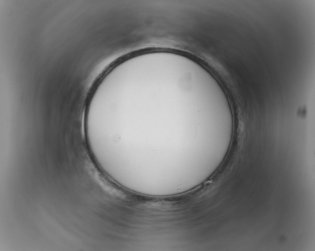 X0000112741272200909101507