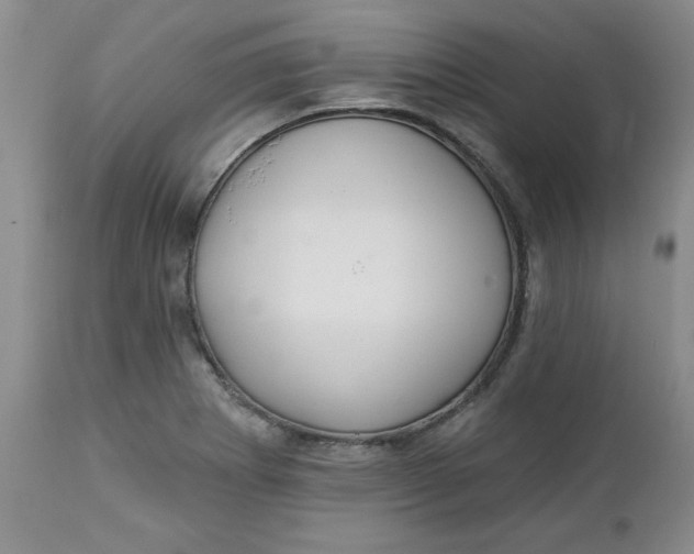 X0000112741273200909101507