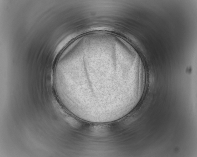 X0000112741274200909101507