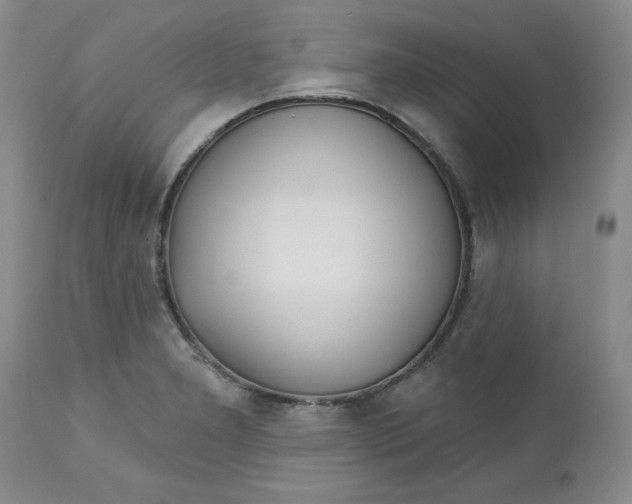 X0000112741277200909101507