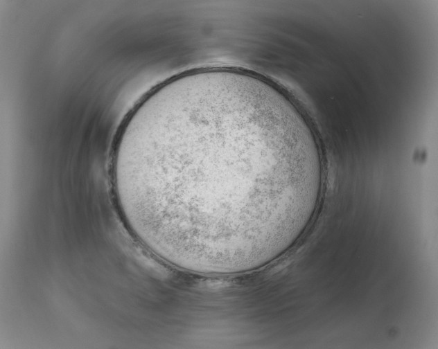 X0000112741278200909101507