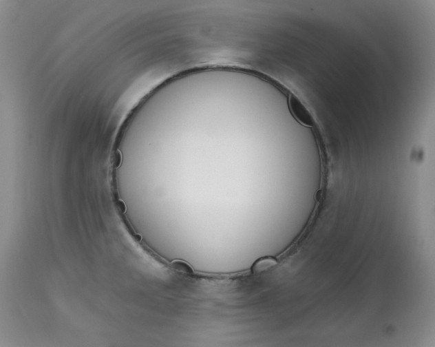 X0000112741285200909101506