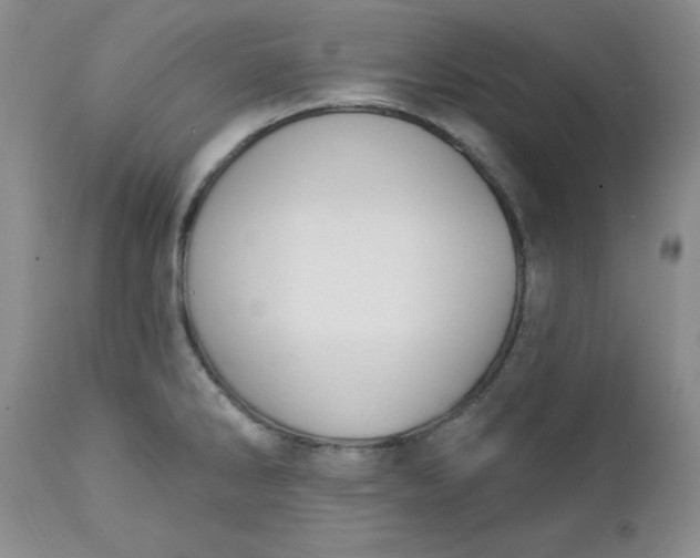 X0000112741286200909101506