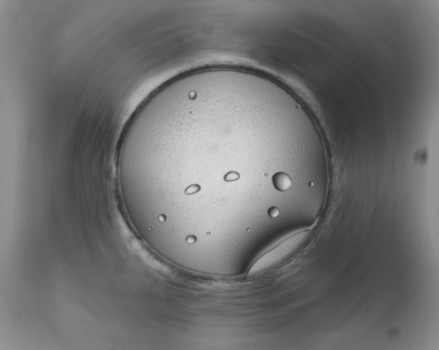 X0000112741287200909101506