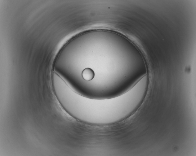 X0000112741288200909101506