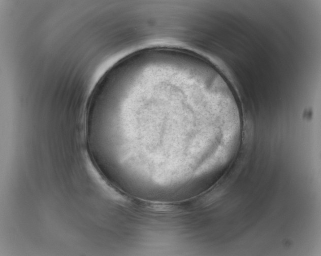 X0000112741295200909101506