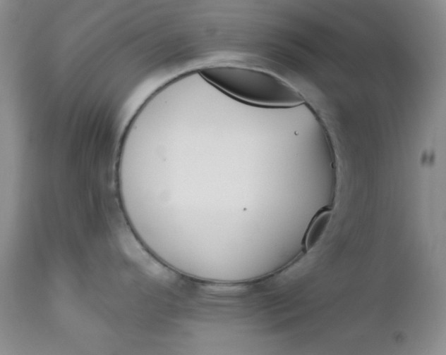 X0000112741296200909101506