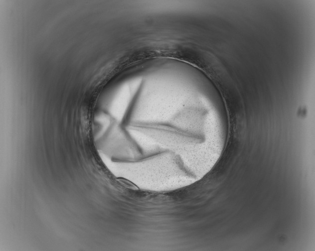 X0000112741298200909101506