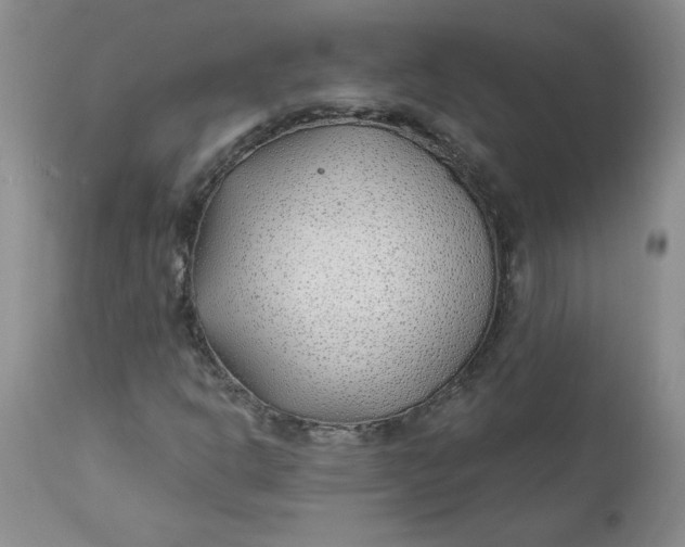 X0000112741302200909101506