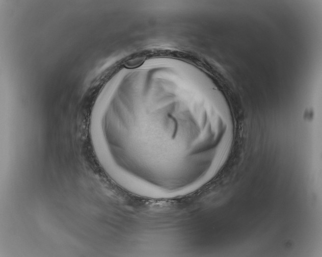 X0000112741303200909101506