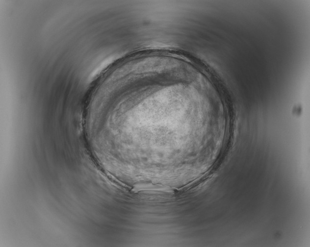 X0000112741306200909101506