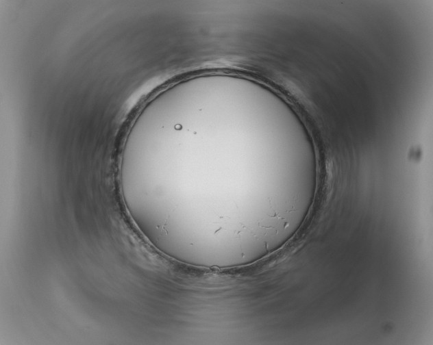 X0000112741308200909101506