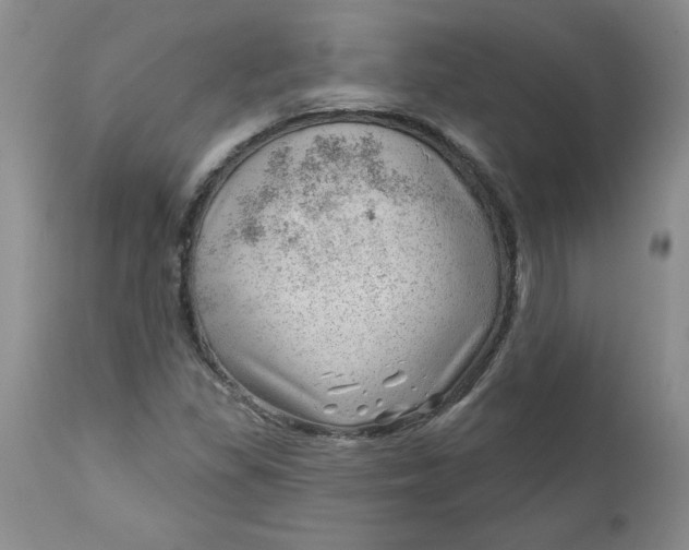 X0000112741309200909101506