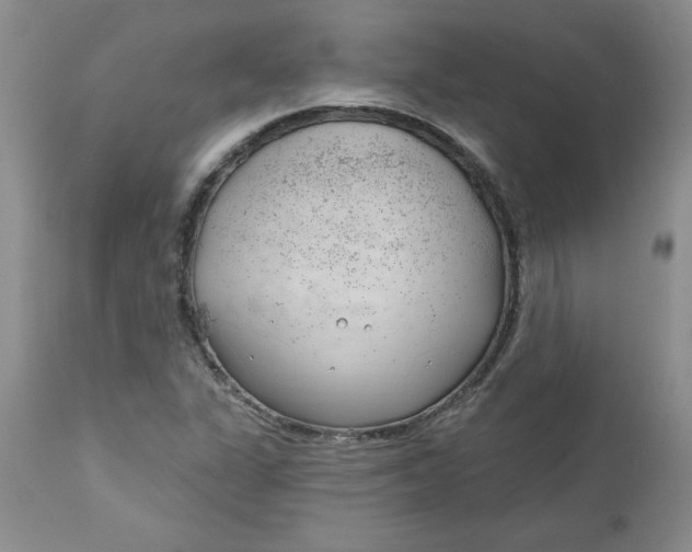 X0000112741311200909101506