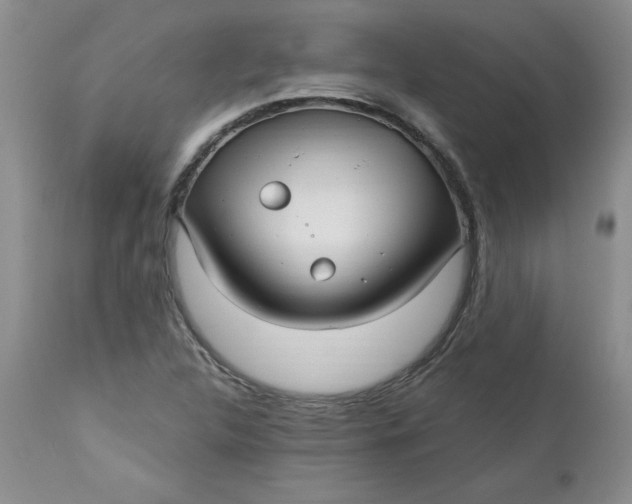 X0000112741312200909101506