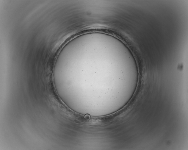 X0000112741313200909101506