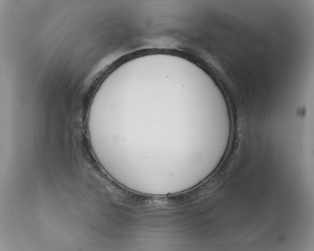 X0000112741315200909101506