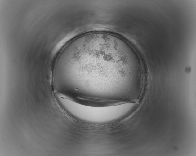 X0000112741317200909101506