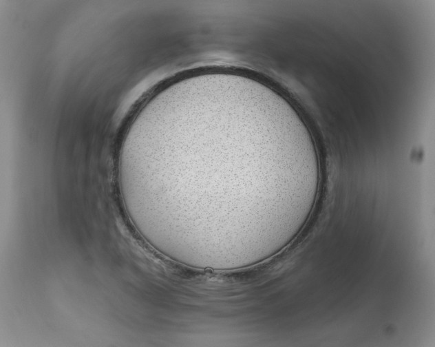 X0000112741318200909101506