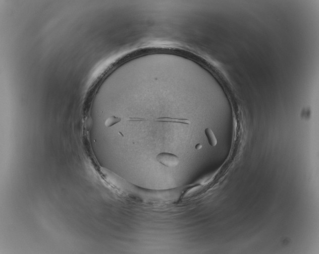 X0000112741319200909101506