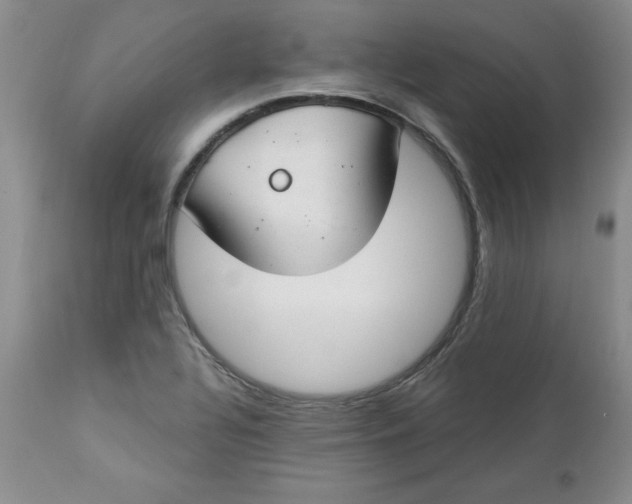 X0000112741320200909101506