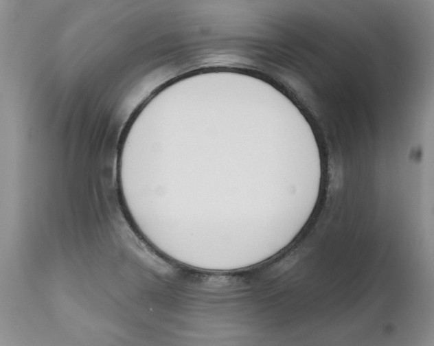 X0000112741322200909101506