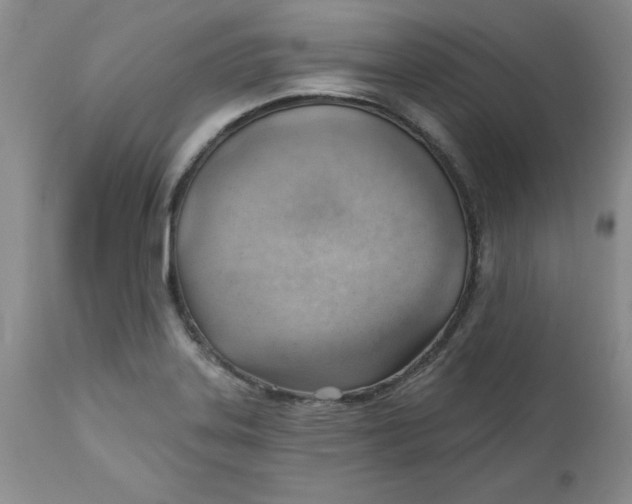 X0000112741323200909101506