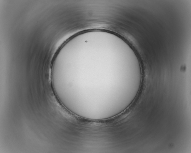 X0000112741324200909101506