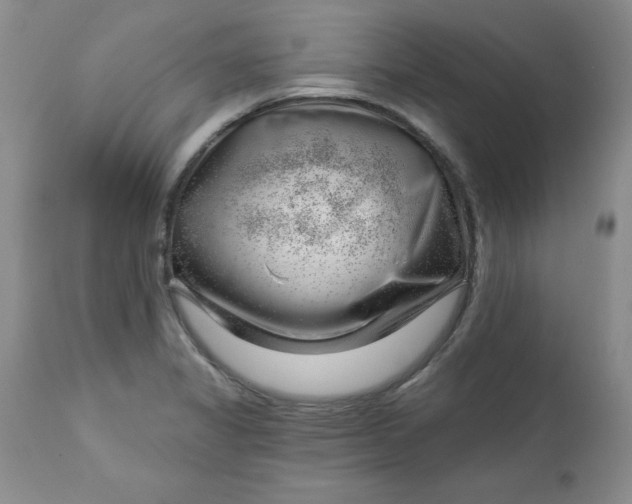 X0000112741325200909101506