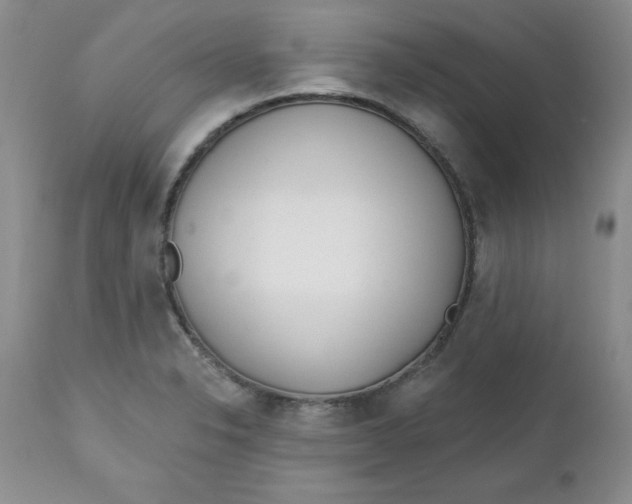 X0000112741326200909101506