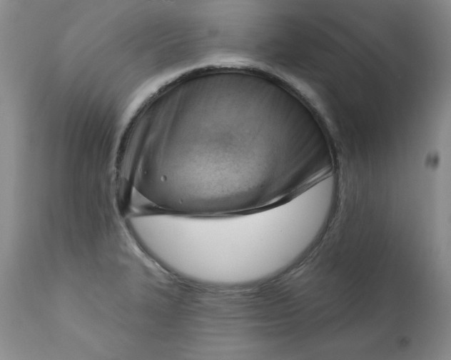 X0000112741327200909101506