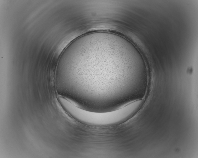 X0000112741329200909101506