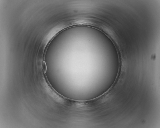 X0000112741330200909101506