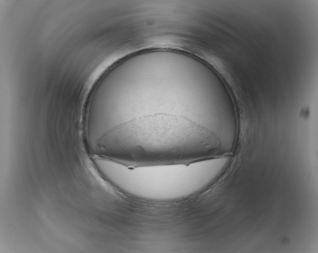 X0000112741331200909101506