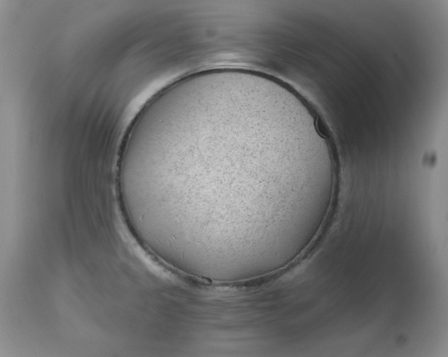 X0000112741333200909101506