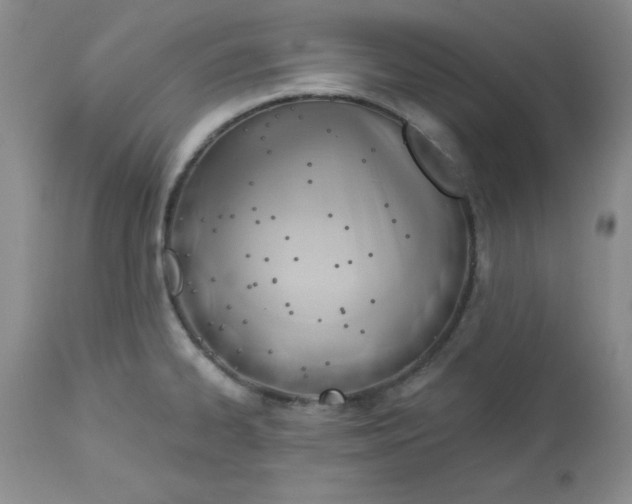 X0000112741334200909101506