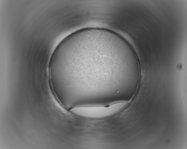 X0000112741335200909101506