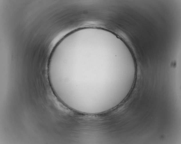 X0000112741336200909101506