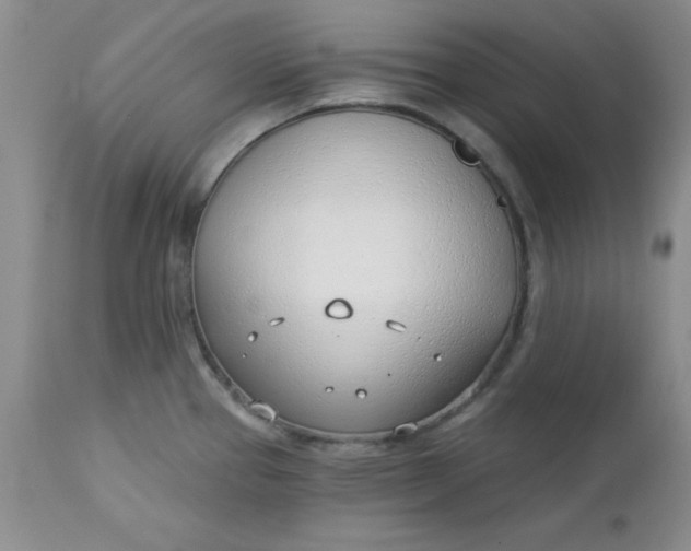 X0000112741337200909101506