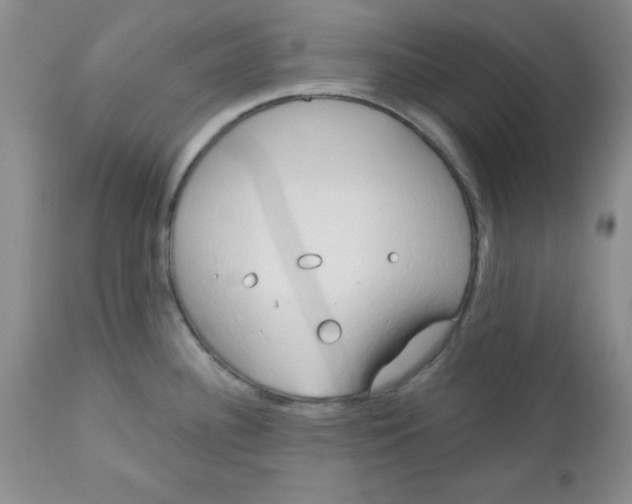 X0000112741340200909101506