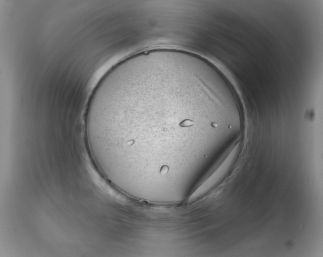 X0000112741341200909101506