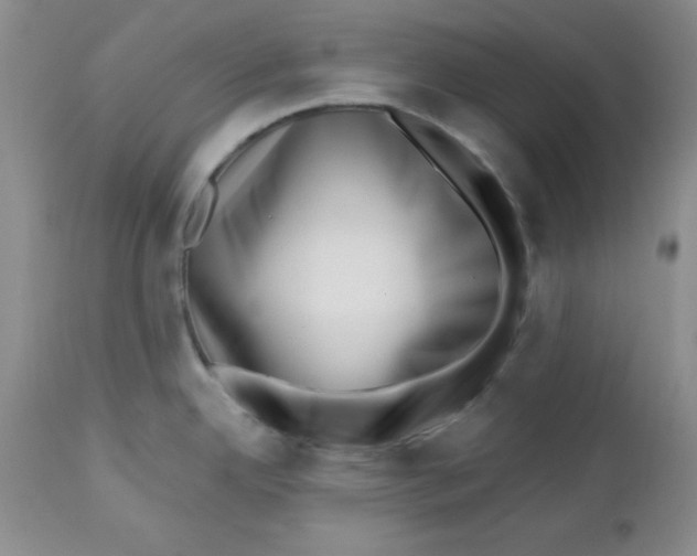 X0000112741342200909101506